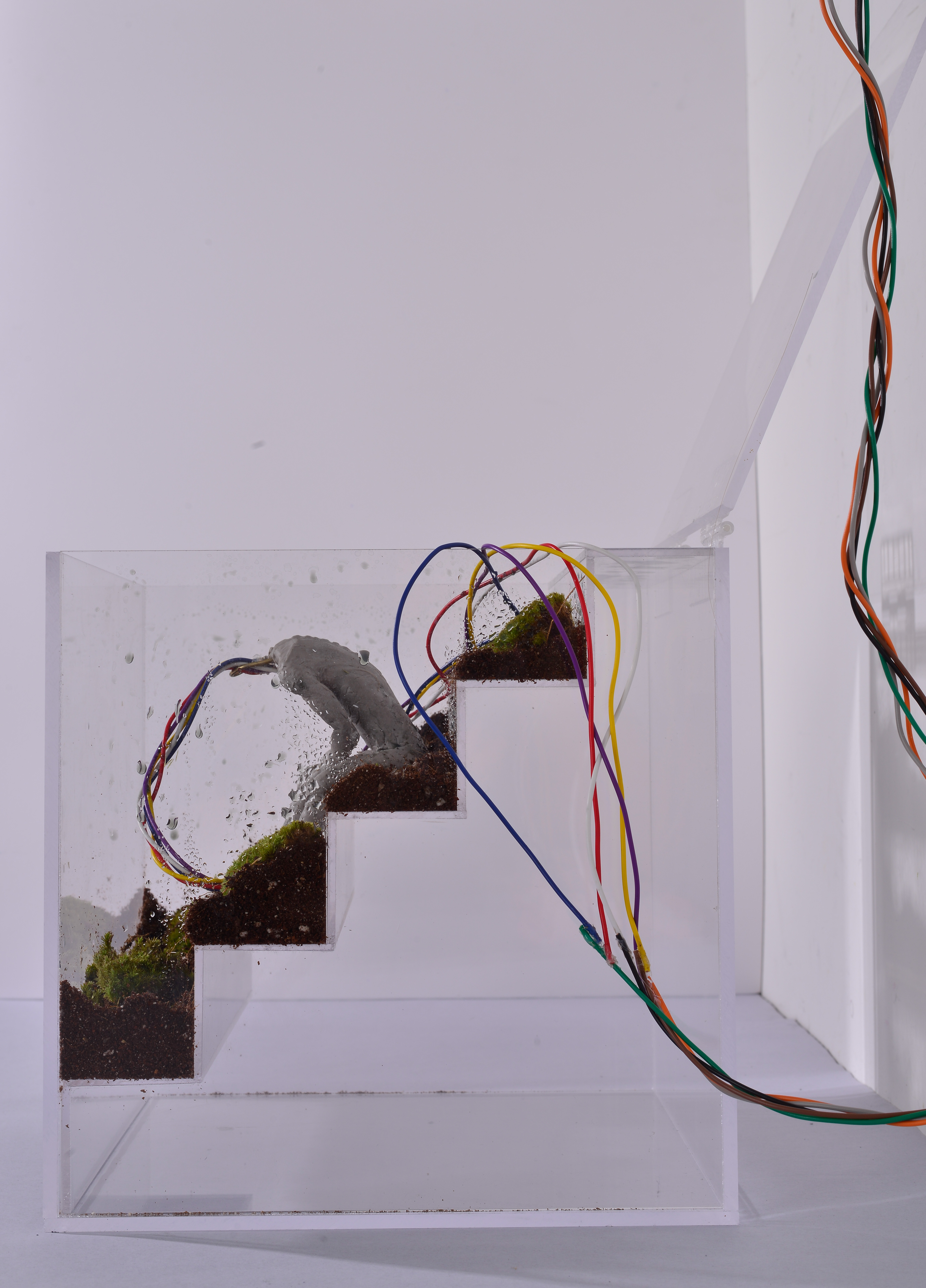 Blood Vessels of Data, 2024